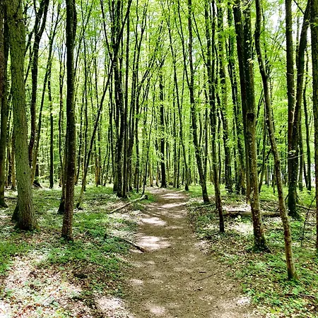 Eppeltree Hideaway Eppeldorf